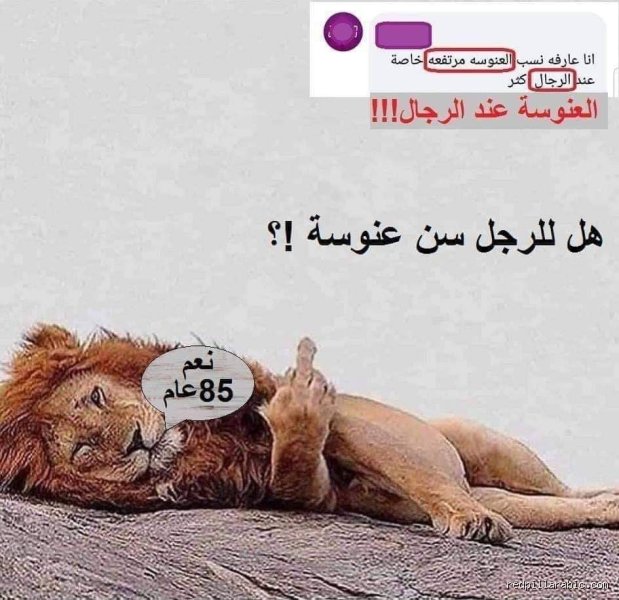 هل هناك فعلًا ما يسمى سن العنوسة عند الرجل؟ الحقيقة الصادمة خلف أرقام العزوبية