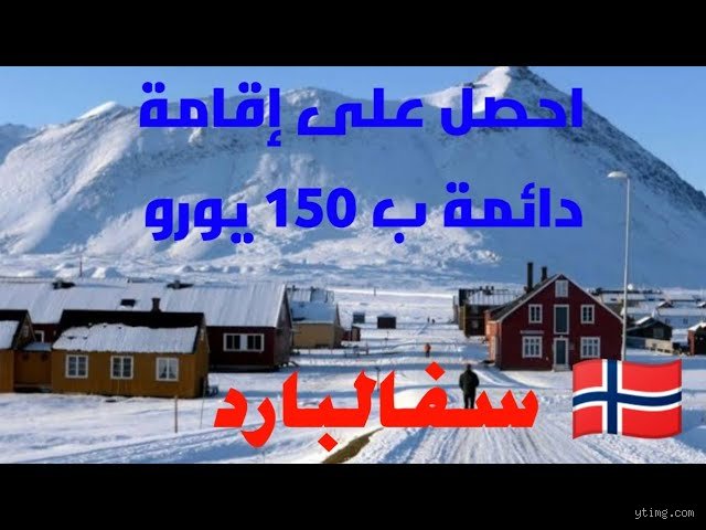 كم تبلغ تكلفة المعيشة في سفالبارد؟ دليل البقاء المالي في أقاصي الأرض