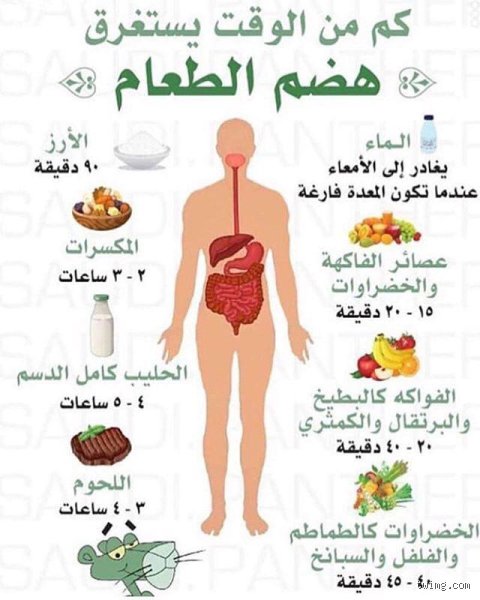 كم من الوقت تحتاج في لوكروم؟ الدليل الكامل لزيارة لؤلؤة كرواتيا