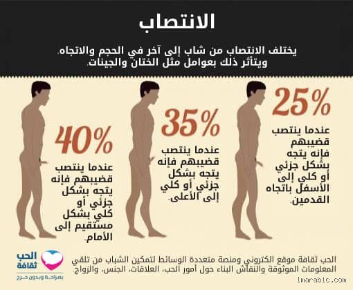 كيف أجعل انتصابي يطول؟ دليلك العملي لفهم الميكانيكا الحيوية والحلول المستدامة
