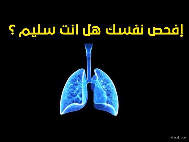 كيف أعرف ما إذا كانت رئتاي سليمتين؟ دليلك لفهم أنفاسك بعيداً عن القلق
