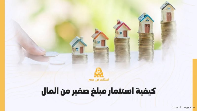كيف استثمر مبلغ صغير بالحلال؟ دليل عملي لبناء ثروة خالية من الشبهات