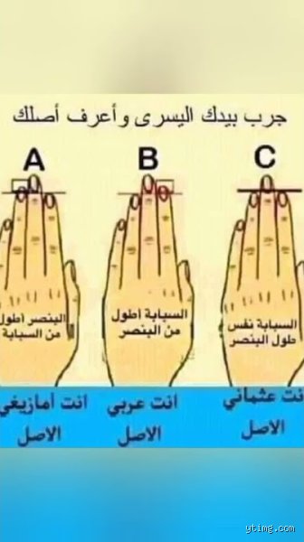 كيف تعرف أصلك الحقيقي؟ الدليل العلمي والتاريخي لكشف جذورك