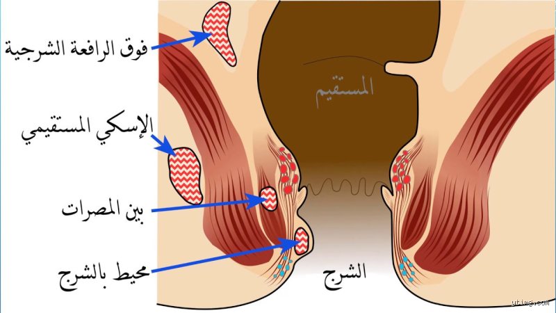 كيف تعرف أن الفتاة مارست من الخلف؟ كشف الأوهام والحقائق الطبية