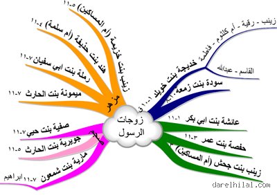 لماذا تزوج الرسول 10 نساء؟ تفكيك المغالطات بالحقائق والأرقام