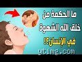 لماذا خلق الله الرجل شهواني؟ تفكيك الشفرة البيولوجية والروحية