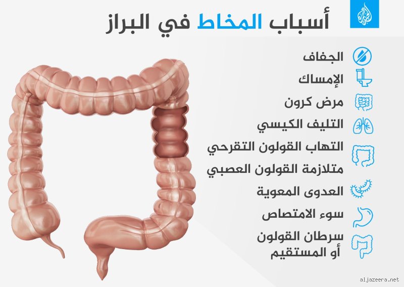 ما سبب زيادة المخاط؟ رحلة في كواليس "مصنع الدفاع" الذي لا يهدأ
