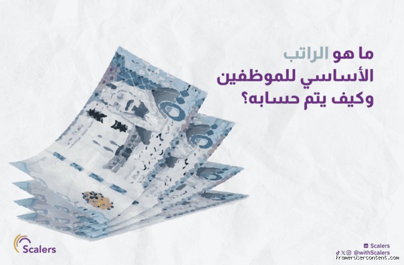 ما هو الراتب الأساسي شهرياً؟ الدليل الذي يفكك شيفرة حساباتك المالية