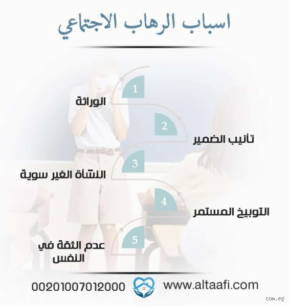 ما هو السبب الرئيسي للإرهاب؟ التيه بين غرف الصدى وظلم الواقع