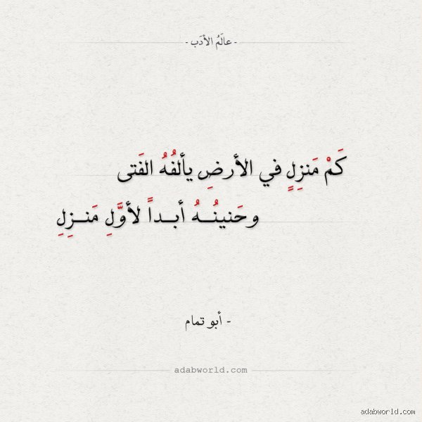 ما هو بيت شعر عن الوطن؟ نبض الهوية بين الحنين وسطوة الكلمات