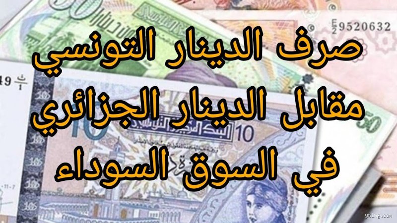 ما هو سعر صرف الدينار؟ رحلة بين شاشات التداول وأرفف المحال التجارية