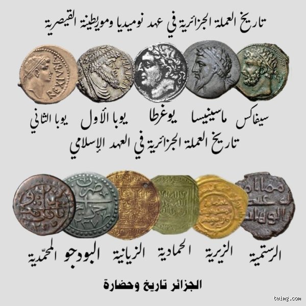 ما هي أفضل عملة يمكن استخدامها في الجزائر؟ دليل المسافر والمستثمر