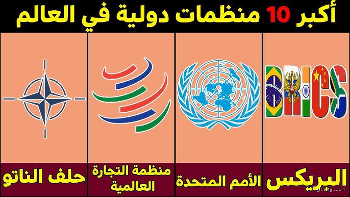ما هي أكبر منظمة حكومية دولية في العالم؟ كواليس القوة والأرقام
