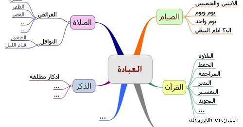 ما هي أكثر عبادة يحبها الله؟ الحقيقة الغائبة بين طقوس الجسد وأسرار القلوب
