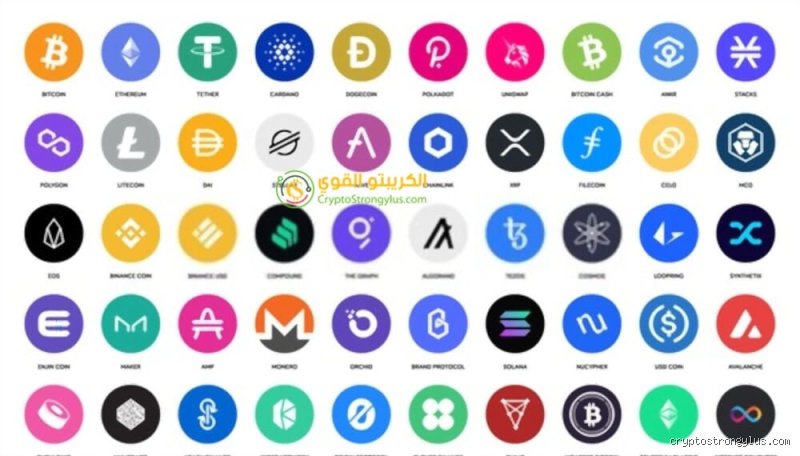 ما هي أهم العملات الرقمية التي لها مستقبل؟ إليك الحقيقة بعيداً عن صخب المضاربين