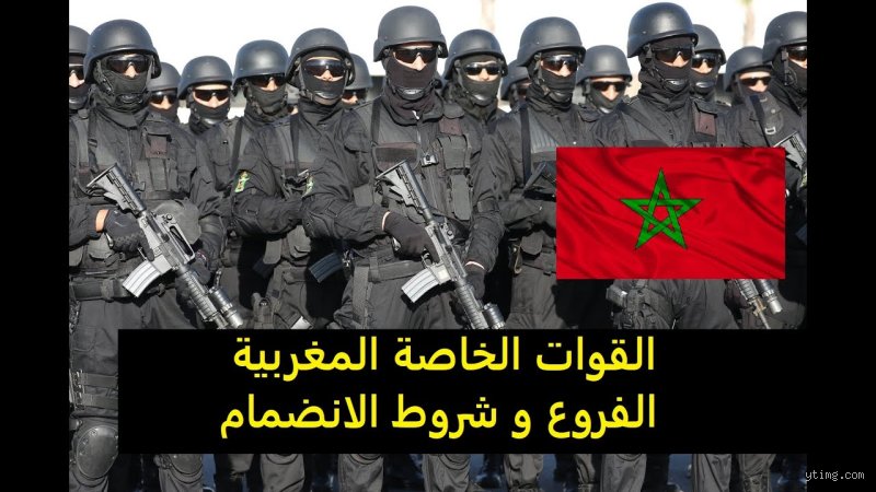 ما هي إجراءات الانضمام إلى القوات الخاصة؟ دليل الميدان والواقع