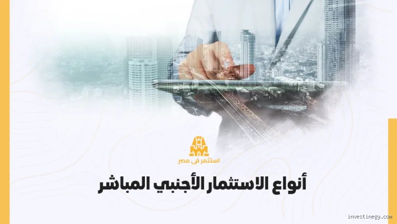 دليل العبور الآمن: ما هي الأنواع الأربعة للاستثمار الأجنبي في عالم يغلي؟