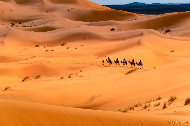 ما هي الصحراء الشهيرة في الشرق الأوسط ولماذا تسكن عقول المغامرين؟