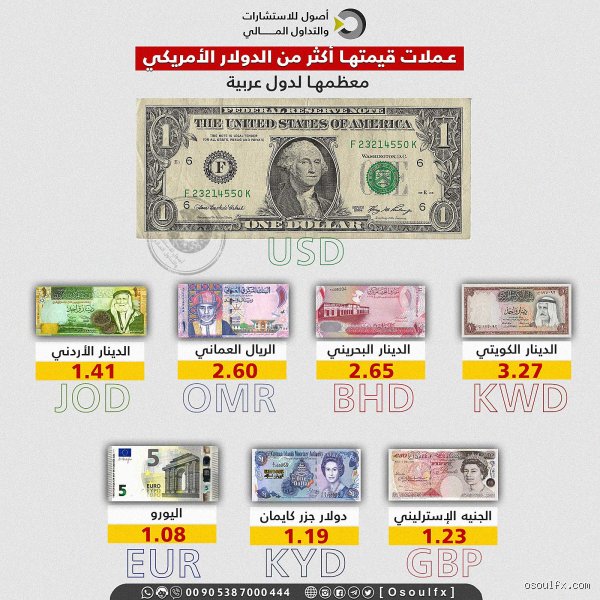 ما هي العملة التي ترتفع قيمتها مقابل الدولار الأمريكي؟ فك شيفرة التفوق في سوق لا يرحم