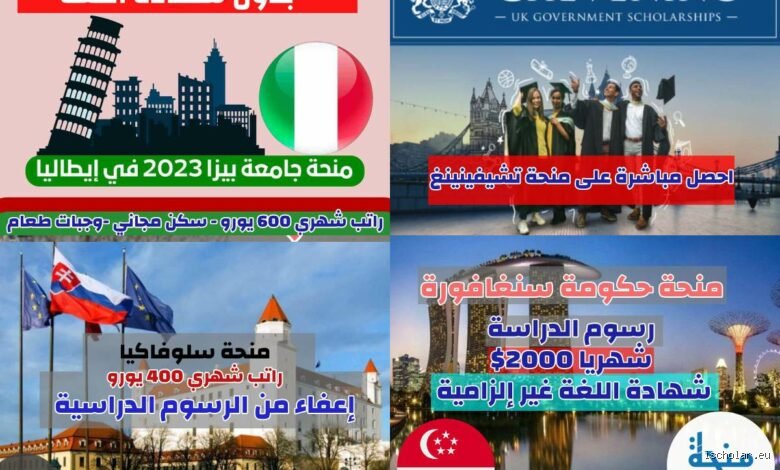 دليلك الشامل: ما هي المنح المجانية المتاحة حالياً وكيف تقتنصها؟