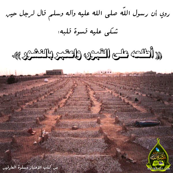 ماذا قال الرسول عن قسوة القلوب وكيف نواجه هذا التحجر الشعوري؟