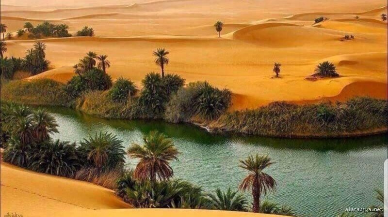 ماذا يوجد في صحراء الربع الخالي؟ أسرار أكبر بحر رملي في العالم