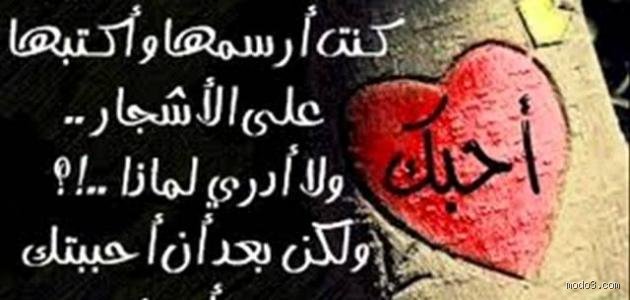 من أقوى الحب والعشق؟ صراع العاطفة بين الثبات والاحتراق