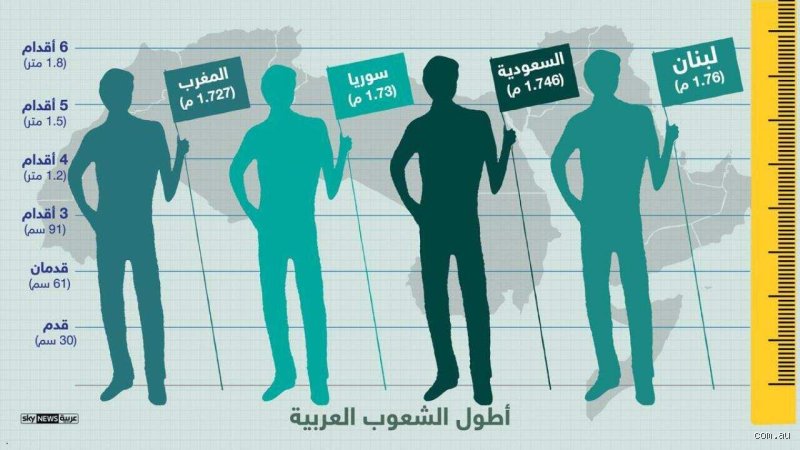 من هم أطول شعوب العرب؟ كشف الترتيب الحقيقي بعيدًا عن الأساطير