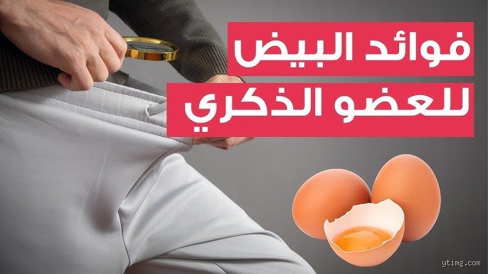 هل البيض يزيد من خصوبة الرجل؟ إليك الحقيقة العلمية بعيداً عن الخرافات