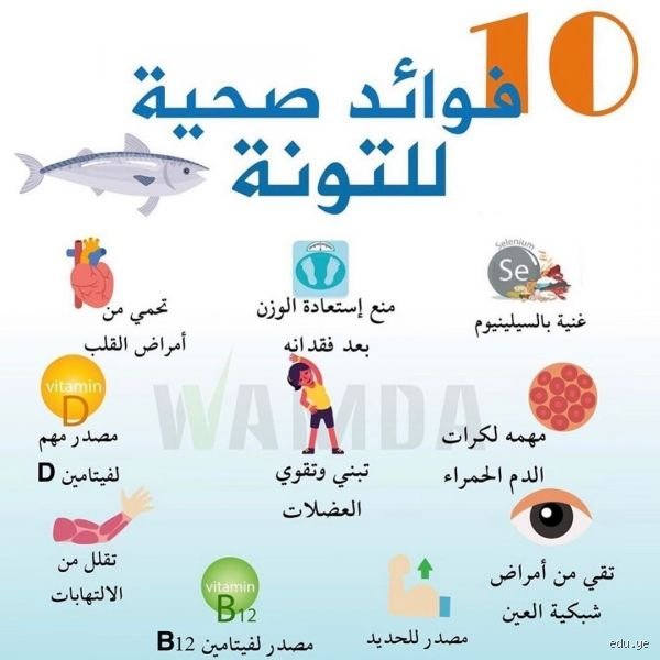 هل التونة مفيدة لمرضى قصور القلب؟ الحقيقة الكاملة وراء معلبات الأوميجا 3