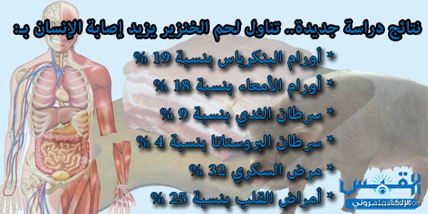 هل تناول لحم الخنزير آمن للبشر؟ الحقائق الغائبة خلف الجدل المشتعل