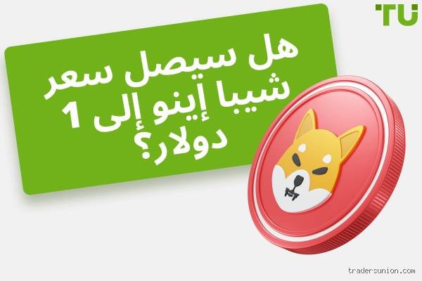 هل سيصل سعر سهم شيبا إلى دولار واحد في عام 2040؟ حلم الملايين بين الرياضيات والواقع