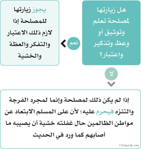هل يجوز للمسلمين الذهاب إلى ثمود؟ تفكيك الجدل بين السياحة والنهي الشرعي
