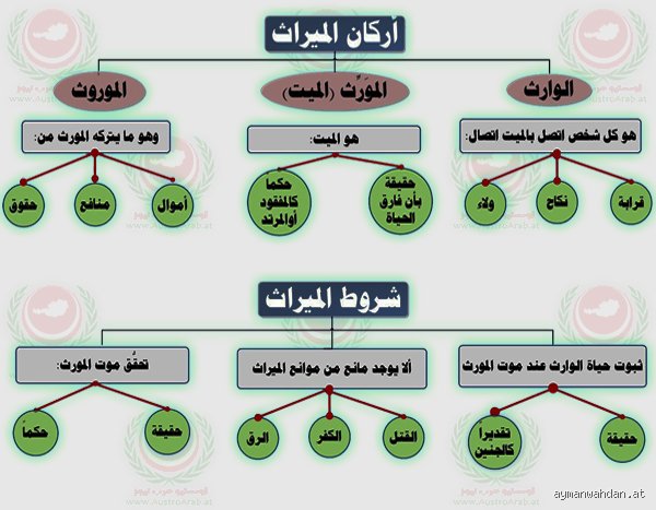 هل يرث الأبناء ديون آبائهم؟ فك شيفرة التركة المثقلة بالالتزامات