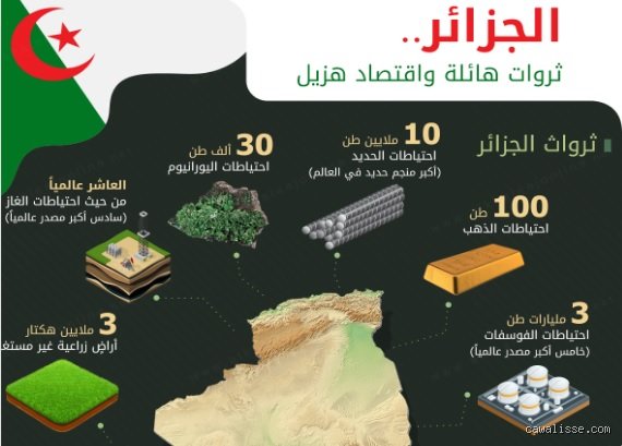 كم تبلغ ثروة الجزائر؟